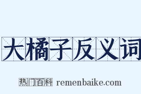 大橘子反义词是什么意思的图片